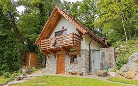 Vineyard Cottage Rataj 2 Novo Mesto Exterior photo