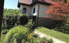 Wine & Nature & Tour Zgornji Leskovec Exterior photo