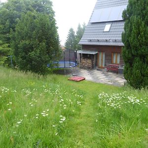 Haus Bergwiese - Fur Naturfreunde, Familien, Wanderer Gehlberg Exterior photo