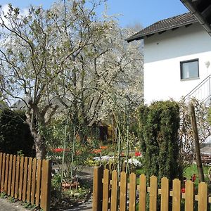 Apartement Am Kirschbaum Apartment Mommenheim Exterior photo