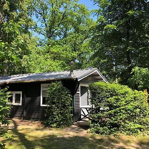 Dreamwoodz - Een Droomchalet Op De Veluwe Laag-Soeren Exterior photo