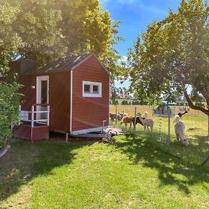 Tiny House Auf Der Alpaka Farm Villa Rubkow Exterior photo