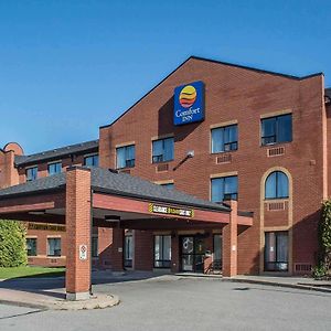 Comfort Inn Port Hope Exterior photo