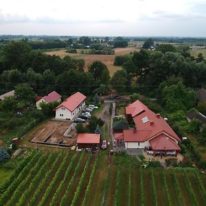 Agroturystyka Rogala Villa Mlodochow Exterior photo