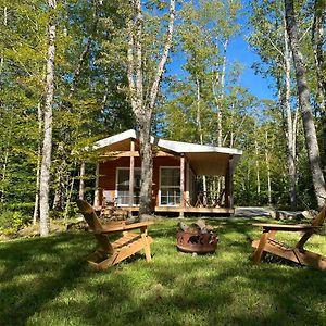 Bear Cabin - Cozy Forest Retreat Nearby Lake Villa East Kemptville Exterior photo