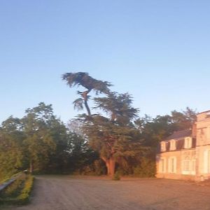 Chateau De Colliers Bed & Breakfast Muides-sur-Loire Exterior photo