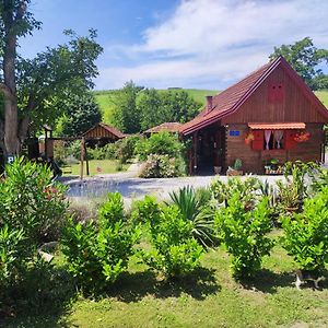 Pod Orehom Drvena Kuca I Sauna Krapina Exterior photo