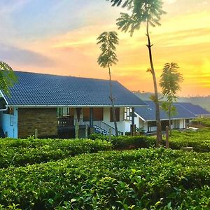Pekoe Plantation Cottages By Lexstays Pirmed Exterior photo