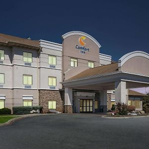 Comfort Inn Powell - Knoxville North Exterior photo