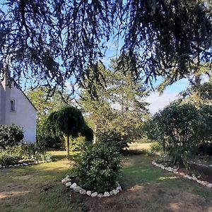 Gite Le Vieux Moulin Villa Saint-Dye-sur-Loire Exterior photo