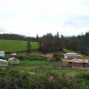 Casa De Campo A Pasos Del Estereo Pichilemu Exterior photo