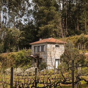 Casa Da Cardenha Villa Castelo de Paiva Exterior photo