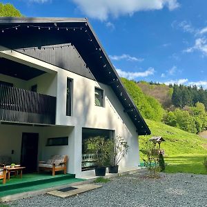 Lighet House Maramures Tirgu Lapus Exterior photo