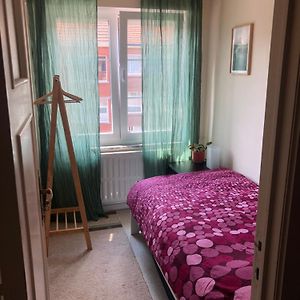 Cozy Room In A Quiet Area With Free Parking Leuven Exterior photo