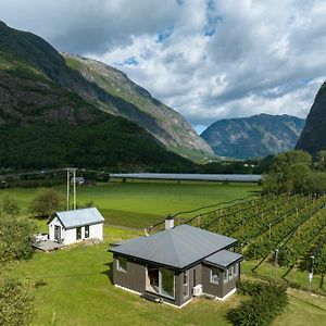 Jordeplegarden Holiday Home - Part Of A Farm - Two Buildings - Close To Flam Laerdalsoyri Exterior photo