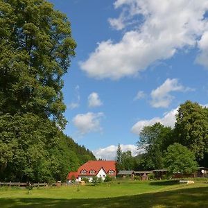 Zur Sommerfrische Lothramuhle Hotel Drognitz Exterior photo