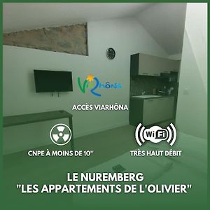 Le Nuremberg - Les Appartements De L'Olivier Loyettes Exterior photo