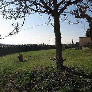 Agriturismo Le Caselle Guest House Cerbaia Room photo