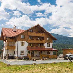 Pensiunea Sureanu Hotel Tau Bistra Exterior photo