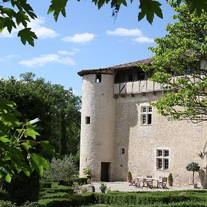 Chateau De Mayragues Castelnau-de-Montmiral Exterior photo