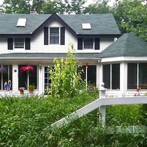 Play All Day - Sleep By The Stream At Night - Swimming Hole Palenville Exterior photo